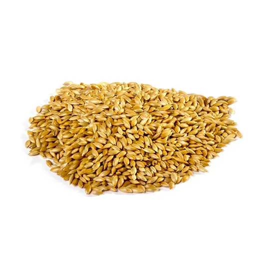 Imagen de producto no encontrada